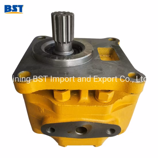 Shantui Caterpillar Bulldozer Excavator Cummins Weichai Isuzu Perkins Hydraulic/Water/Fuel Injection/Oil/Gear/Working/Steering/Transmission/Gear Pump